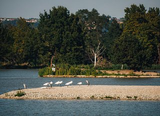 Wo man in Budweis die Natur erleben kann